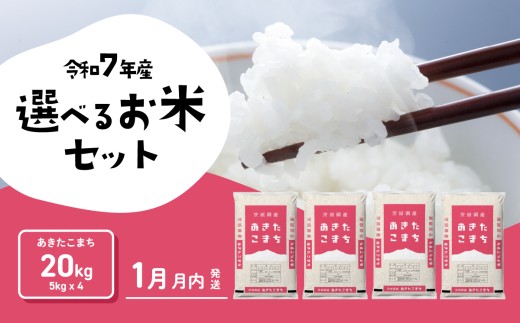 y錧㒬zy01z ܂ 20kg ߘa7NY   錧Y   [SF391yai]