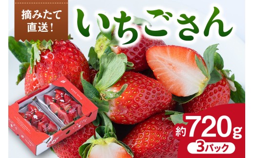 yꌧɖszY  3pbN 147-B810
