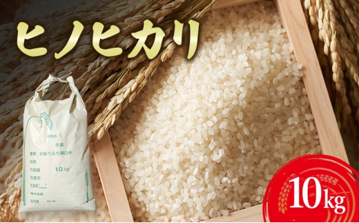 yɌF{szqmqJ10kg Ɍ F{s WH [5395-0281]