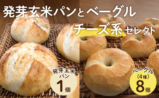 yROsz茺ăpƃx[Oi`[YnZNgjy x[O p y    `[Yz