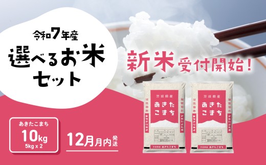 y錧㒬zy12zV ܂ 10kg ߘa7NY   錧Y   [SF330yai]