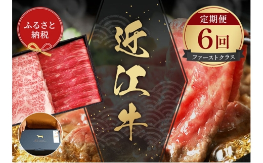 yꌧČszyaZuz ߍ]   ut@[XgNXvi6j [5694-1117]