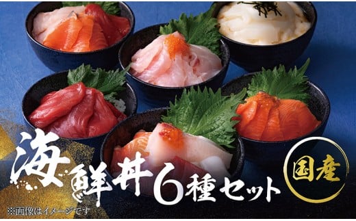 y䌧zOszyYzʌICN̋ґUރZbg