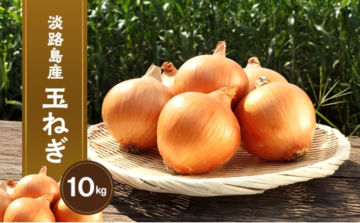 yɌF{szWHYʂ˂10kg Ɍ F{s WH [5395-0327]