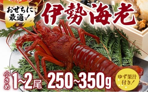 ymmzɐCVTCY 1~2ZbgyⓀz Y mY VR VN CN 䂸ʏ`t hg Ă {C  l  j LO 蕨    S184