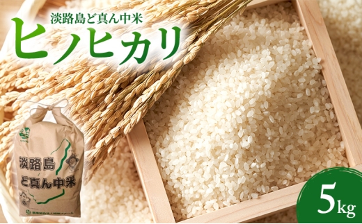 yɌF{szyߘaVNxYs\z WHǐ^񒆕 qmqJ  5kg Ɍ F{s WH [5395-0411]