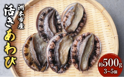 yɌF{szF{sY3`5500g Ɍ F{s WH [5395-0266]