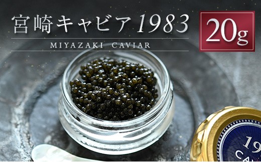 宮崎キャビア1983 計20g 贈答品 高級 魚卵 国産【E247】 - 宮崎県新富
