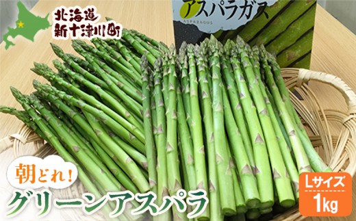 先行受付 グリーンアスパラ Lサイズ 1kg 【令和8年5月中旬～6月中旬