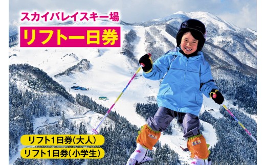 スカイバレイスキー場リフト1日券（大人＋小学生）】 スキーチケット