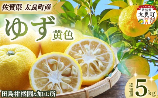 田島柑橘園&加工所のゆず(黄色)5kg ゆず ユズ 柚子 フルーツ 果物 柑橘