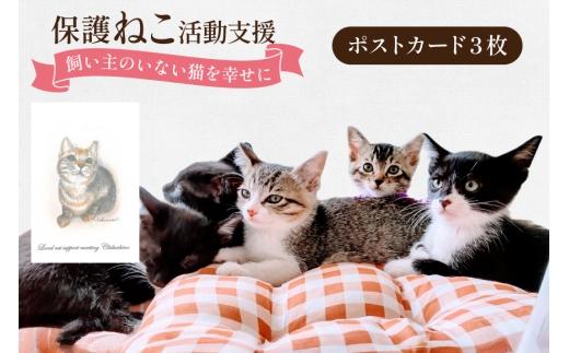 y}szیL x Lی슈ւ̎x |XgJ[h [n˂T|[g  }s 21761293] ی  L  lR ˂ ybg  ی슈 N|