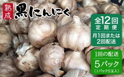 yszy1zzy S12  zn ɂɂ 25 i 1pbN 5 × 5pbN j st yV[uz [AHC040-1]