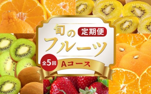 y쌧ۋTsz{̃t[c  5  AR[X ʕ t[c   LEC ݂ fR| sm k  S[hLEC O[LEC ʂЂ ʂS[h  