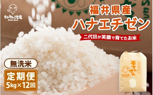 y䌧szyߘa7NYEVāzy12A͂zniG`[5kg×12 v60kg () `䌧Y YҒI` y  ؉zO Ԃ   uh lC 