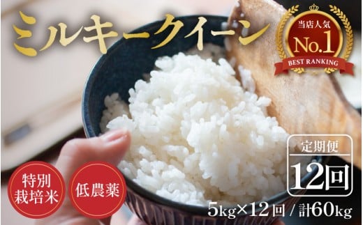 y䌧szys\zyߘa8NY Vāzցs12A͂t5kg×12 60kg ʍ͔| ~L[NC[  _ sHl85_ȏI萸āt / 䌧 s