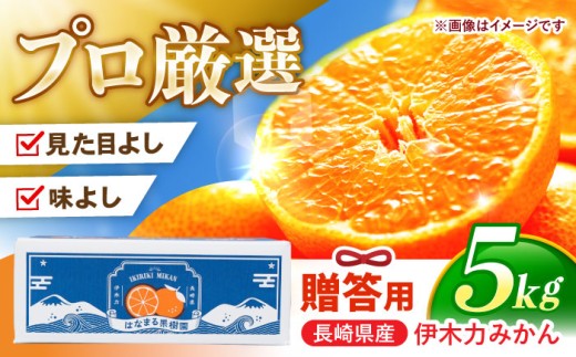 長崎産特選伊木力みかん Lサイズ5キロ入り 約40個入 贈答品 化粧箱入 長崎産特選伊木力みかん Lサイズ5キロ入り 約40個入 贈答品 化粧箱入