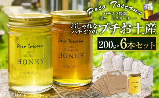 おしゃれなハチミツのプチお土産 200g瓶×6本セット 合計1.2kg ／ 蜂蜜