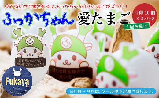 愛鶏園 ふっかちゃん愛たまご20個（白卵10個×2パック） 【11218
