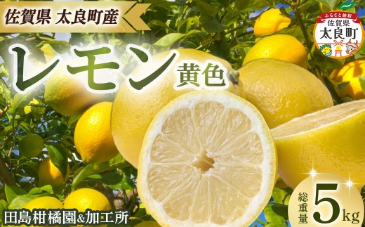 田島柑橘園&加工所のレモン(黄色)5kg レモン れもん 檸檬 フルーツ