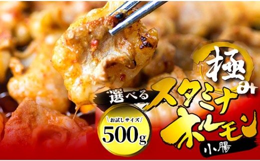 ys{ߎszy^݁z ɂ݂ X^~i z  500g 250×2  ^t | ق  z c  傤 Ă BBQ t Lv AEghA s