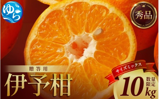 ya̎RRǒzyV[Ys\zɗ\ a̎R݂ Gi 10kg p2026N1{ɏ\ / 悩 k 蕨 t[c ʕ  Hi lC  