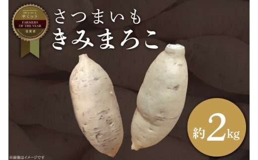 y錧sszy2025N11菇z2025NxY ܂ ݂܂낱 2kgb܂   ݂܂낱 aJ_ s\ 錧 ss(BZ-61)