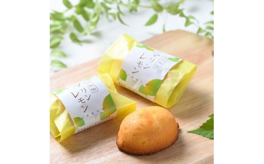 y啪zP[L } (v15)  EG  P[L XC[c َq  Ăَq mَq yY  퉷yopbj008zyَq̃E_z