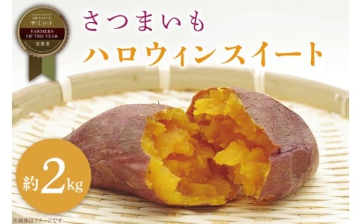 y錧sszy2025N11菇z2025NxY ܂ nEBXC[g 2kgb܂   nEBXC[g aJ_ s\ 錧 ss(BZ-62)