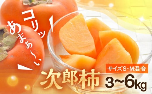 ymLszs\ LΊ`H[́wY`x3kg 6kg