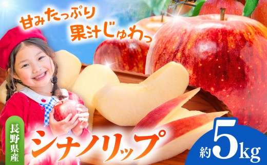 先行受付 令和8年度産 シナノリップ（夏りんご） 5kg｜シナノリップ