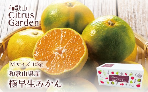 ya̎Rxcza̎RY ɑ݂ ƒp MTCY v10kgi5kgx2j mSn15n