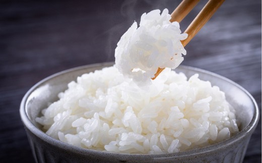 y쌧ʂszߘa7NxY V RVqJ 5kg 