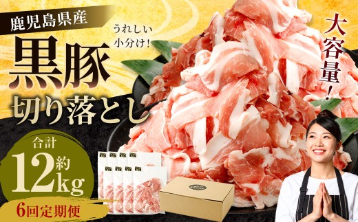 yFszy6ցzY ؂藎Ƃ v12kgi2kg×6j   ؂藎Ƃ   6 ؓ Ef  GSR-032
