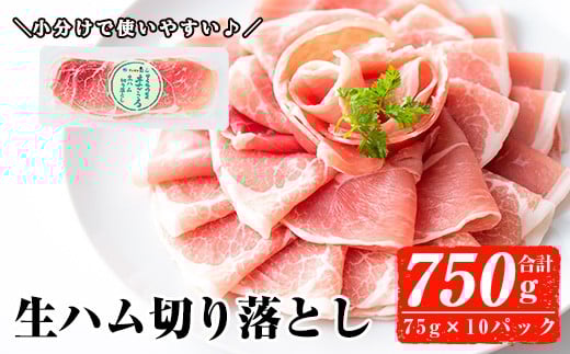y]szIׂ遄Yؐn؂藎Ƃ75g×10P(v750g) n ܂  yi`NzA302
