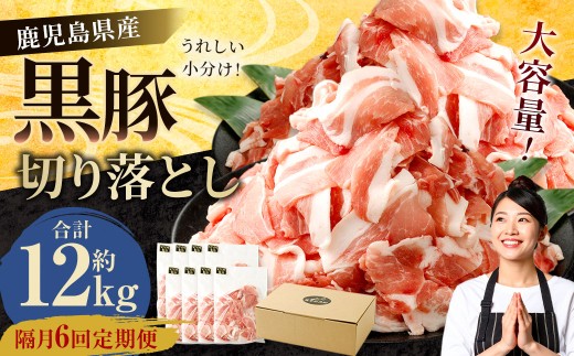 yFszyu6ցzY ؂藎Ƃ v12kgi2kg×6j   ؂藎Ƃ  u  6 ؓ Ef  GSR-033