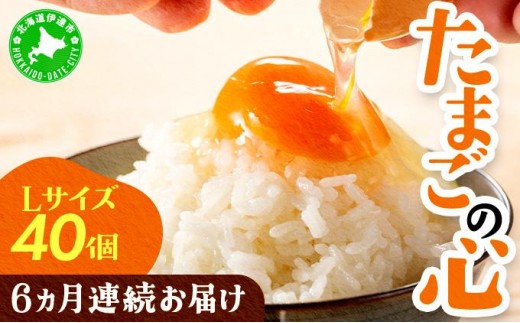 ykCɒBsz[5525-0759]kCY 6A͂   ܂̐S 40 LTCY   z̉  ̕܂  L kC ɒBs ܂  ܂ {  {̗ |XuE H 