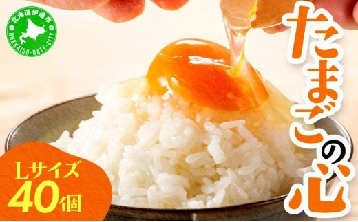 ykCɒBsz[5525-0757]kC ܂̐S 40 LTCY z̉ ܂ L ܂  ܂ { kCY {̗ |XuE H ͂ TKG Ic ICX