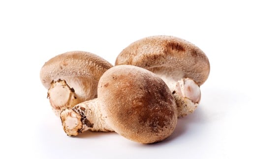 y挧gÑzI[KjbNۏ200g×6܁yő I[KjbN ۏ  ̂ LmRz