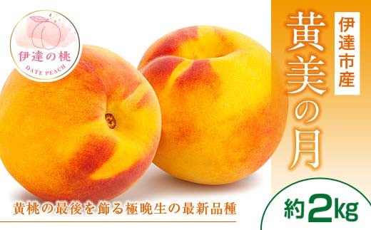 yɒBszy2026Noוs\zY ̌ 2kg (5`7)   ɒB̓  t[c ʕ   momo F20C-464