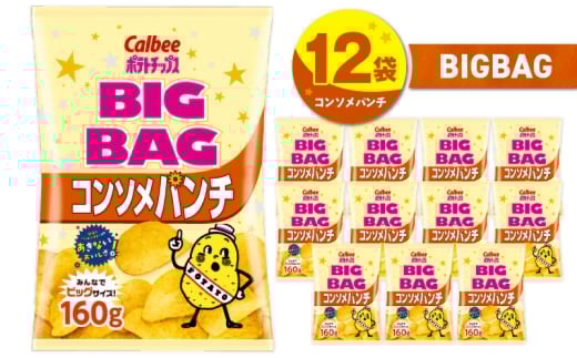 yszJr[ |eg`bvX BIGBAGyR\p`z12܁@K194-002_06