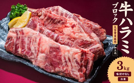 【愛媛県松山市】牛ハラミ ブロック 3kg タンブリング加工 牛ハラミ はらみ 牛肉 肉 個包装 冷凍 焼肉 焼き肉 BBQ バーベキュー ステーキ 丼物 簡単調理 炒め物 家庭用 業務用 人気 お取り寄せ