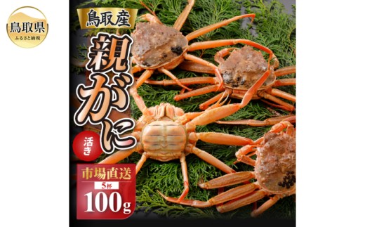 y挧zB25-054 y2025N11z挧Y  e pyZRKjziȂ܁jy󂠂z100g 5t