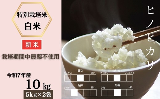 yꌧzߘa7NYV s\tEߘa7N11{ȍ~ꌧYʍ͔|ăqmqJ 10si͔|Ԓ_sgpjmA0212-0006n