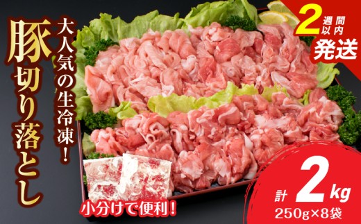 y{茧szlC Ⓚ I ؐ؂藎Ƃ v2kg Y Hi ؓ Ԃ |[N   ^pbN ֗ e IĂ u ؏` Ⴊ ؘ ٓ  ӂ 