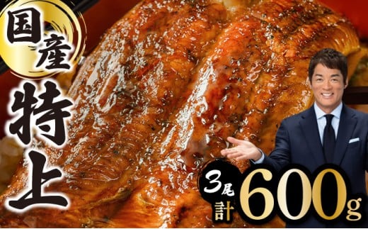 yꌧz2025N12zyʌzwYxȂ 3 v600g