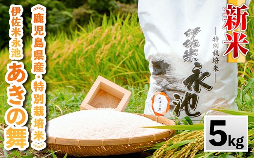 ふるさと納税 鹿児島県 伊佐市 isa517-A  ＜普通精米＞選べる精米方法！令和5年産 鹿児島県伊佐産 特別栽培ひのひかり(計60kg・10kg×6ヵ月) 国… 令和7年産！鹿児島県伊佐市のふるさと納税、新米の先行予約開始