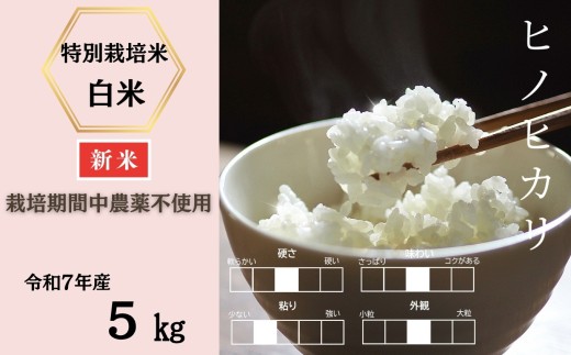 yꌧzߘa7NYV s\tEߘa7N11{ȍ~ꌧYʍ͔|ăqmqJ 5si͔|Ԓ_sgpjmA0212-0005n