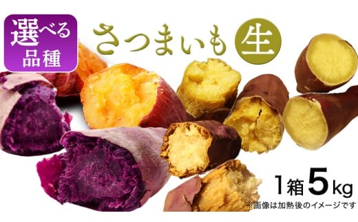 y錧vsz܂ y Iׂi z 5kg / 10kg (  ) Tc}C ܈    Ă XC[c  Y VNXC[g g͂邩 g ӂނ炳 ق