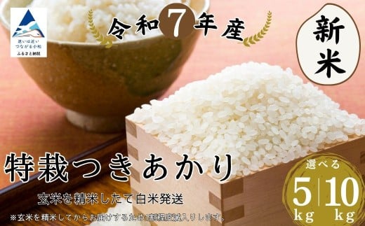【石川県小松市】特栽つきあかり玄米 選べる5kg/10s 精米したて白米発送